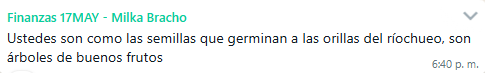 comentario 5